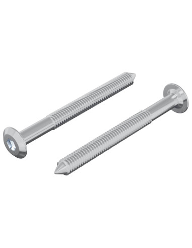 Vite 2 pcs Argento M6 x 60 mm Acciaio