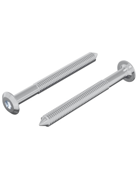 Vite 2 pcs Argento M6 x 60 mm Acciaio