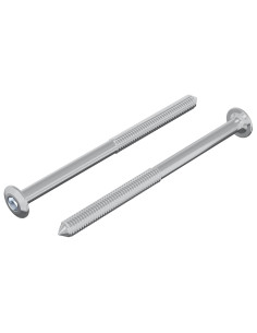 Vite 2 pcs Argento M6 x 85 mm Acciaio 2