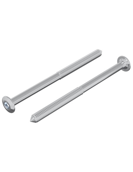 Vite 2 pcs Argento M6 x 85 mm Acciaio