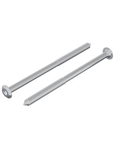Vite 2 pcs Argento M6 x 100 mm Acciaio 2