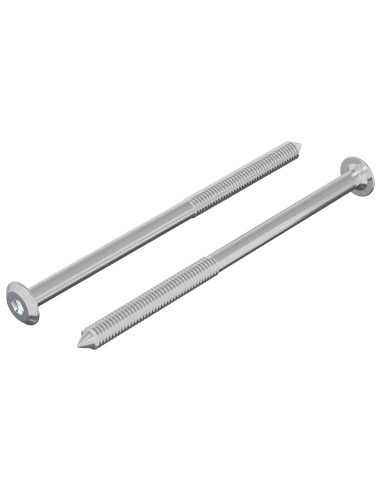 Vite 2 pcs Argento M6 x 100 mm Acciaio
