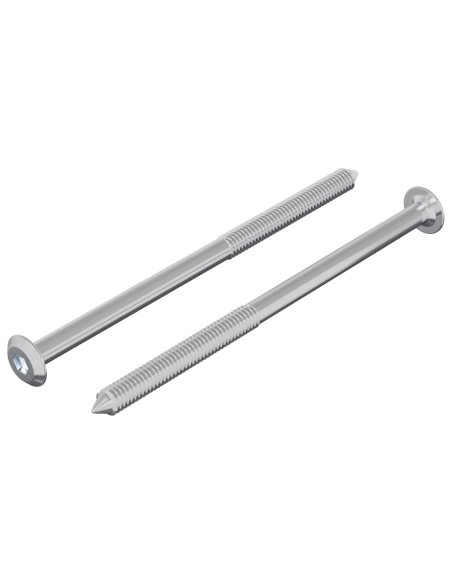 Vite 2 pcs Argento M6 x 100 mm Acciaio