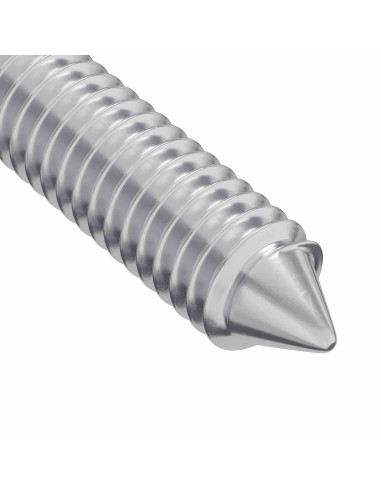 Vite 2 pcs Argento M6 x 100 mm Acciaio