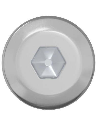 Vite 12 pcs Argento M6 x 120 mm Acciaio
