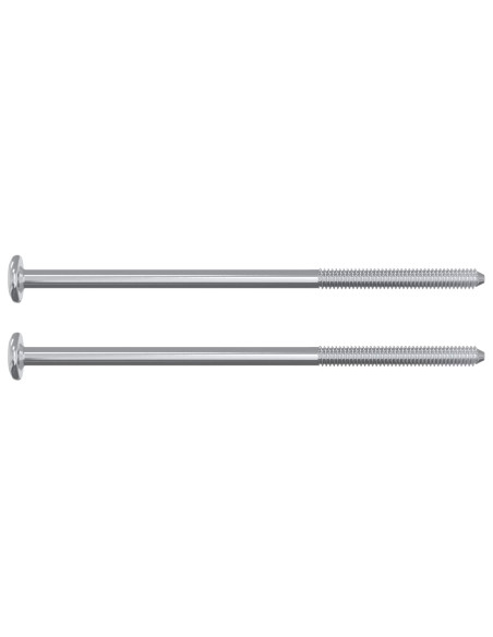 Vite 12 pcs Argento M6 x 120 mm Acciaio