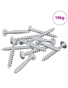 Vite 7792 pcs Argento 9,8 x 35 mm Ferro 2