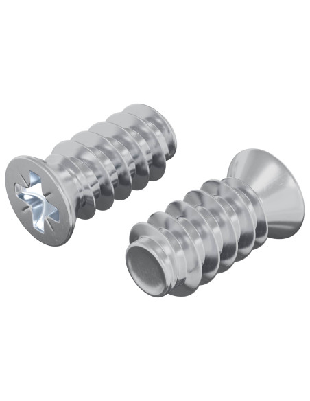 Vite 2 pcs Argento M6 x 12 mm Ferro