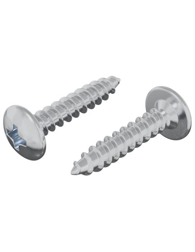 Chiodo autofilettante 2 pcs Zincato 4 x 20 mm Acciaio