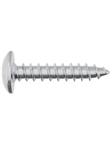 Chiodo autofilettante 2 pcs Zincato 4 x 20 mm Acciaio