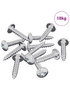 Chiodo autofilettante 10976 pcs Zincato Acciaio 2