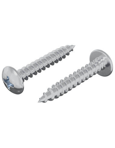 Chiodo autofilettante 2 pcs Zincato 4 x 25 mm Acciaio