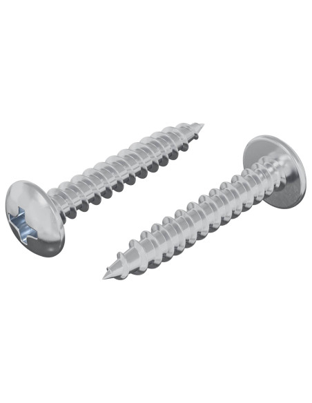 Chiodo autofilettante 2 pcs Zincato 4 x 25 mm Acciaio