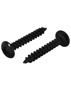 Chiodo autofilettante 2 pcs Nero 4 x 25 mm Acciaio 2