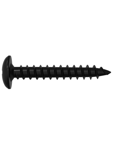 Chiodo autofilettante 12 pcs Nero 4 x 25 mm Acciaio