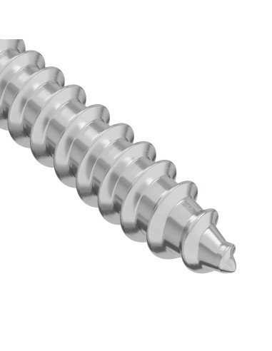 Vite in Legno 2 pcs Argento 9,8 x 53 mm Acciaio