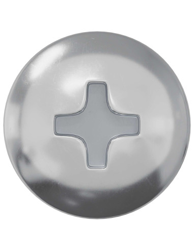 Vite in Legno 12 pcs Argento 9,8 x 53 mm Acciaio