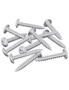 Viti in Legno 12 pcs Argento M4 x 25 mm Acciaio 2