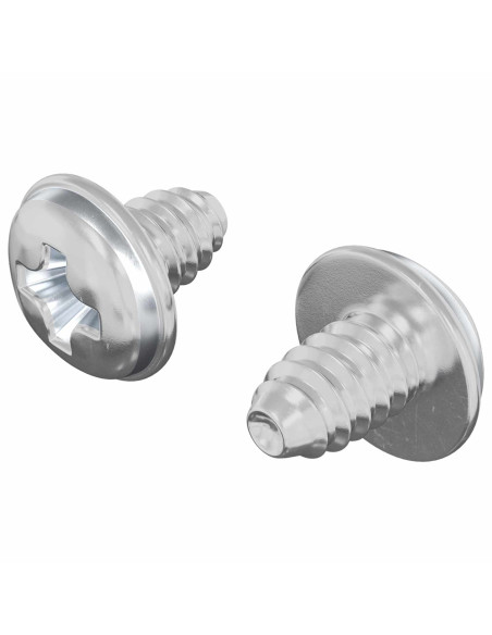 Viti a Brugola 2 pcs Argento M4 x 5 mm Ferro