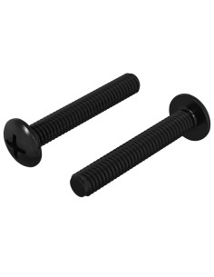 Vite 2 pcs Argento 5 x 30 mm Ferro 2