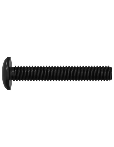 Vite 12 pcs Argento 5 x 30 mm Ferro