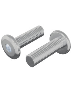 Vite 2 pcs Argento 8 x 25 mm Acciaio 2