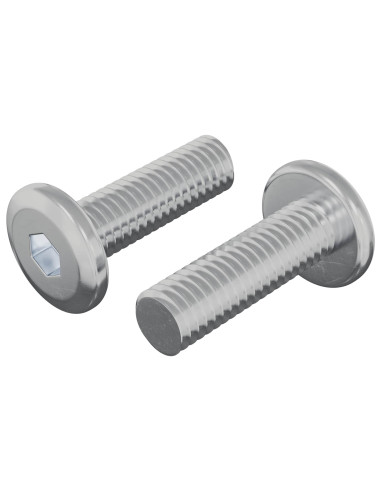 Vite 2 pcs Argento 8 x 25 mm Acciaio