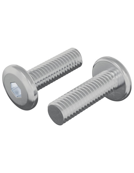 Vite 2 pcs Argento 8 x 25 mm Acciaio