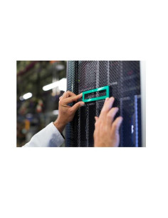 HPE DL320 GEN11 NS204I-U NVMEKIT 2