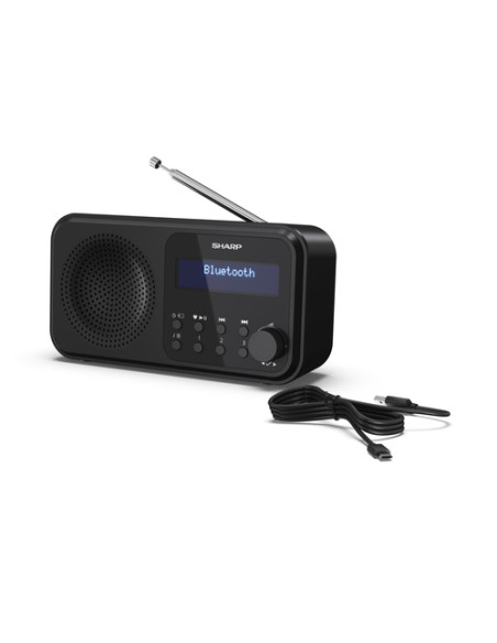 Sharp DR-P420 Portatile Digitale Nero
