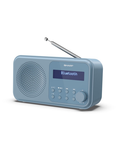 Sharp DR-P420 Portatile Digitale Blu