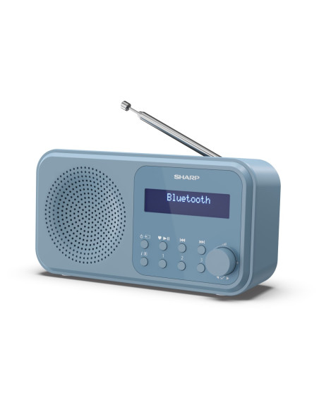 Sharp DR-P420 Portatile Digitale Blu