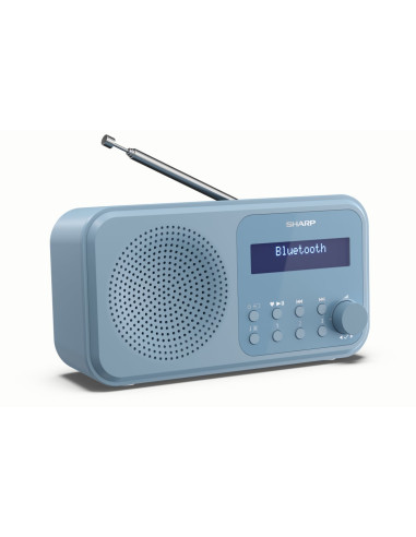 Sharp DR-P420 Portatile Digitale Blu