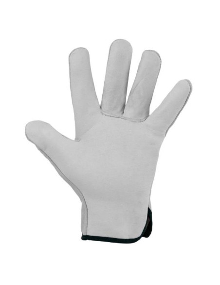 CF12 PA GUANTI 200 TG8