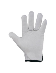 CF12 PA GUANTI 210 TG11 2