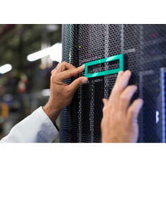HPE DL20 G10+ 4SFF CHASSIS 2SFF 2