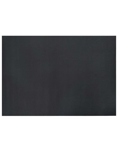 Tappetino di Protezione Sportiva Nero 243 x 152 x 0,6 cm PVC