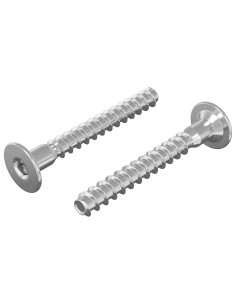 Viti confermat 2 pcs Argento Ø5 x 40 mm Metallo 2