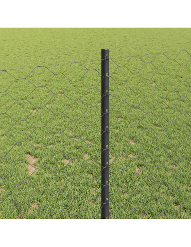 Recinzione con Posto Grigio 1 x 25 m Acciaio