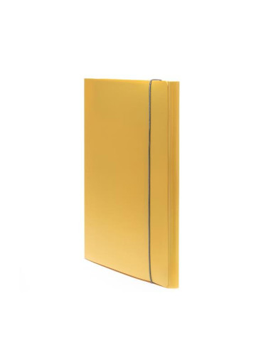 CARTELLA 3 LEMBI HOLOS GIALLO