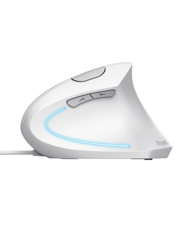 Trust Verto mouse Ufficio Mano destra USB tipo A Ottico 1600 DPI