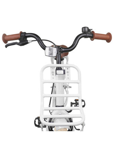 Bicicletta per Bambini 20 Pollici