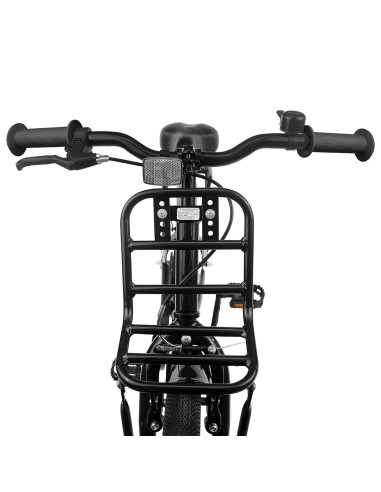 Bicicletta per Bambini 20 Pollici