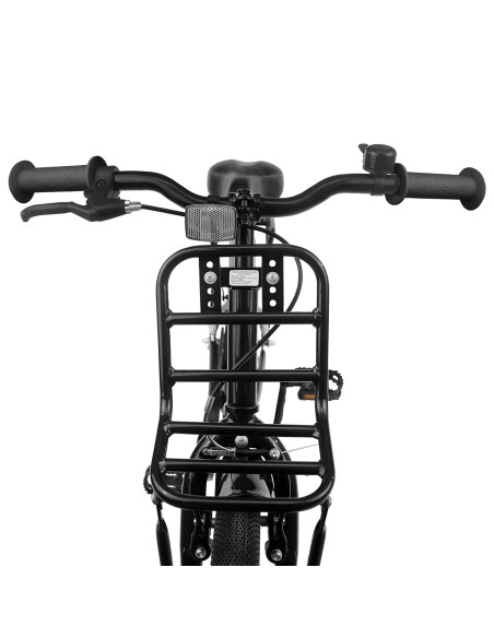 Bicicletta per Bambini 20 Pollici