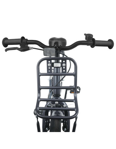 Bicicletta per Bambini 20 Pollici