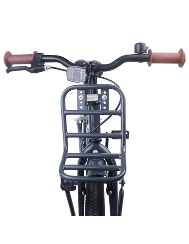 Bicicletta per Bambini 20 Pollici