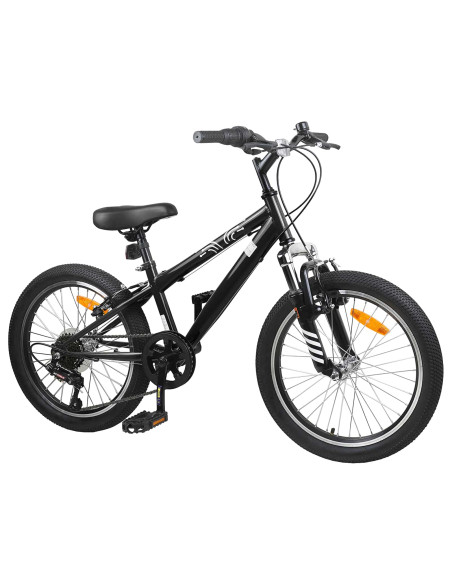 Kids Mountain Bike 20 Pollici 6-Speed per 5-8 anni Nero