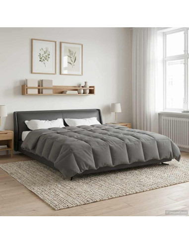 Duvet Estivo Trapuntato Grigio chiaro 240 x 260 cm Microfibra