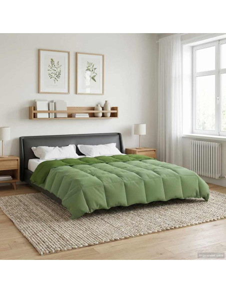 Duvet Estivo Trapuntato Verde 200 x 200 cm Microfibra