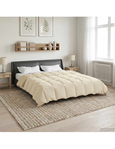 Duvet Estivo Trapuntato Crema 200 x 200 cm Microfibra